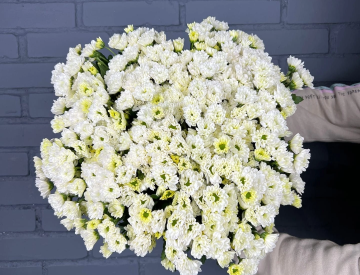 На складе новое поступление! Срезанные цветы